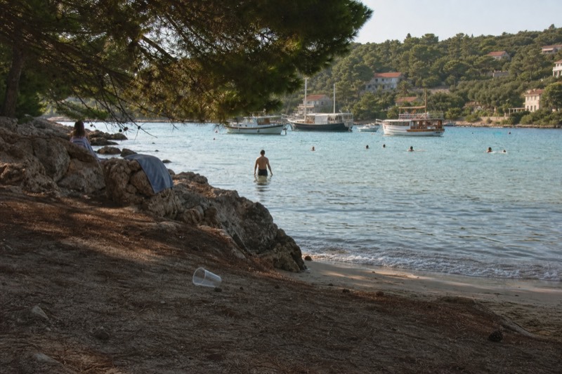 Late August afternoon at Šunj beach on Lopud island near Dubrovnik, Croatia, swimmers and moored tour boats dot the shallow sandy bay seen from the pine-shaded waterline