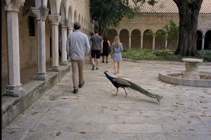 Shaded May afternoon on Lokrum Island in Dubrovnik's harbour, Croatia, filming-location fans from behind wander a Benedictine monastery cloister of pale stone columns