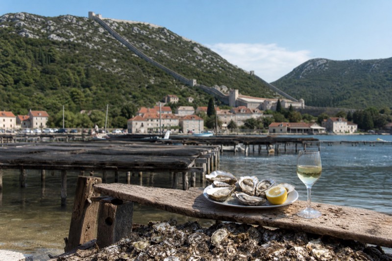 Oyster farm tables on stilts over calm water near Ston, Croatia, midday sun, a rough wooden plank holding a plate of fresh opened oysters, lemon half and a glass of white wine