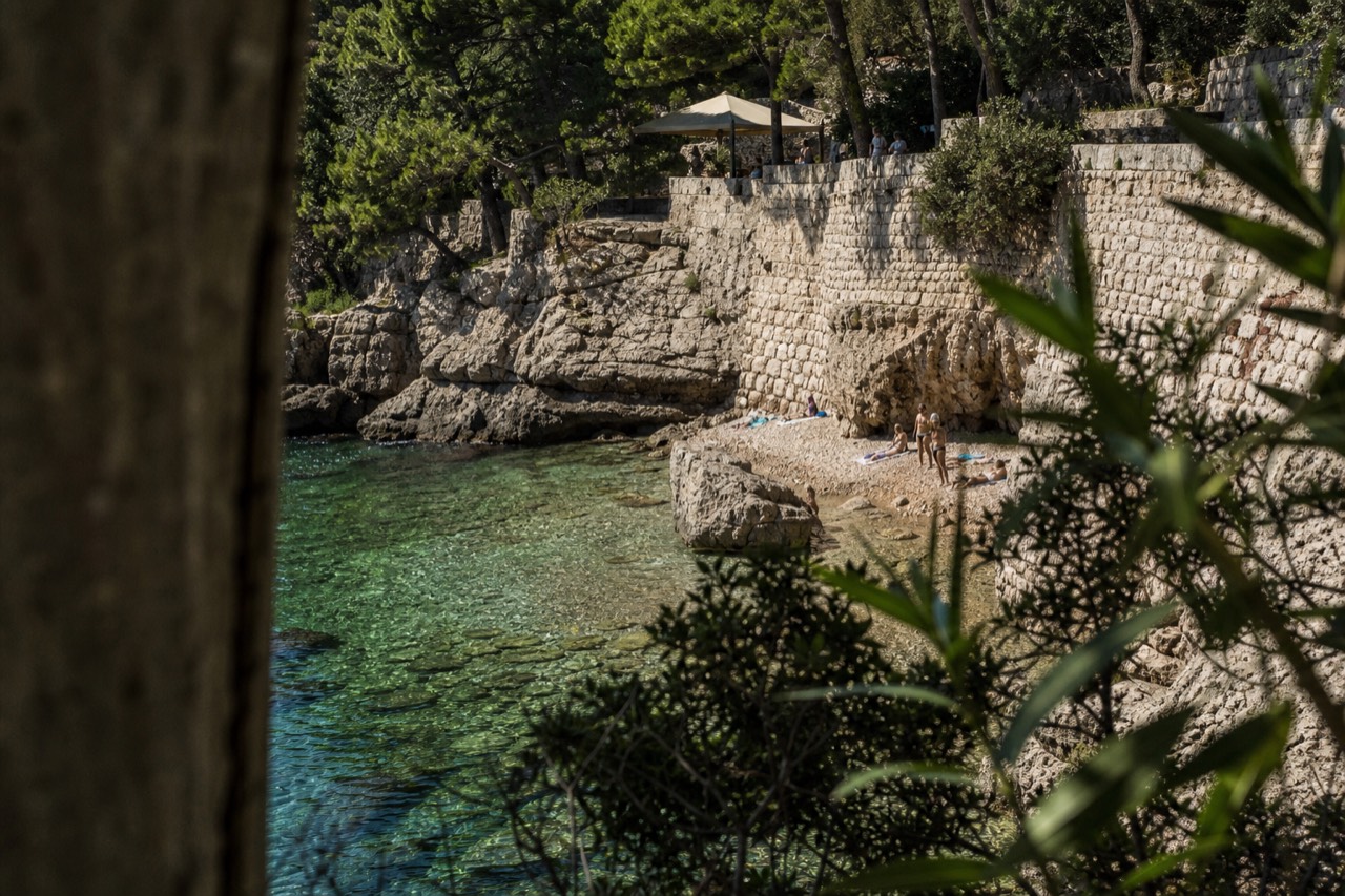 Rocky Lokrum shoreline with pine trees above clear green water