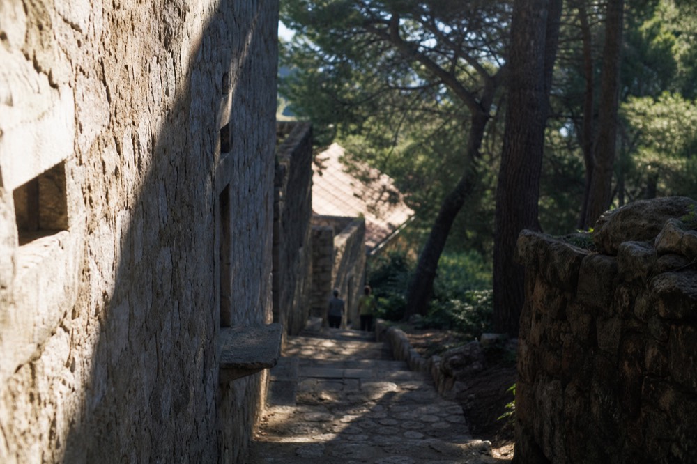 A shaded pine forest path on Lokrum island leading toward old stone buildings