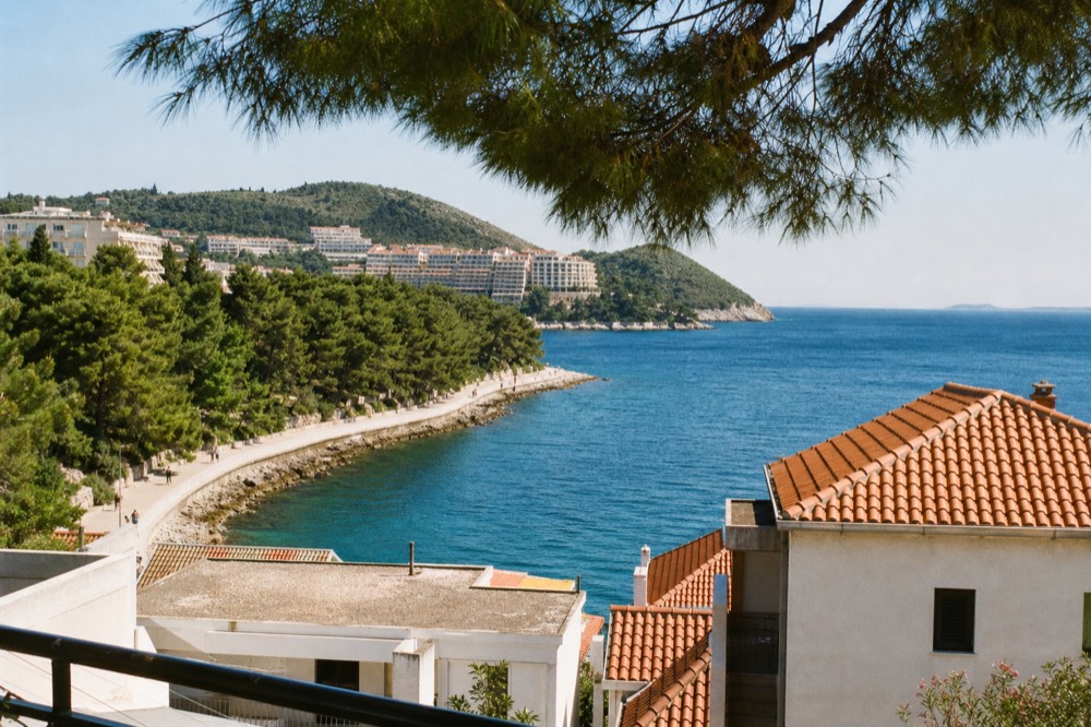 Seaside promenade lined with pine trees curving along a calm bay