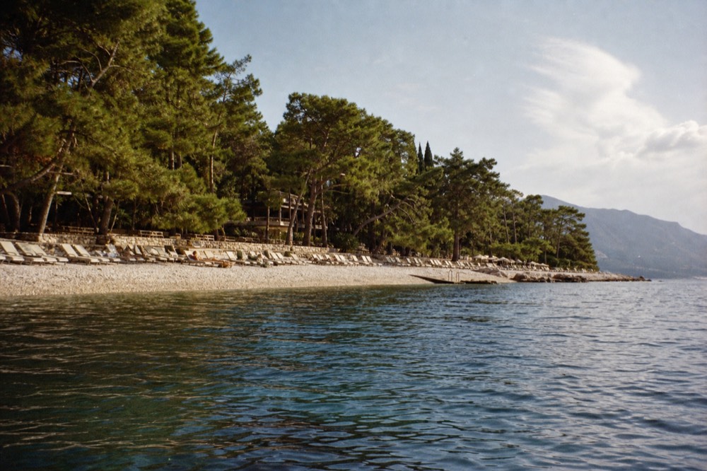 A curved pebble beach with rows of sunbeds, pine trees and calm blue water in a bay