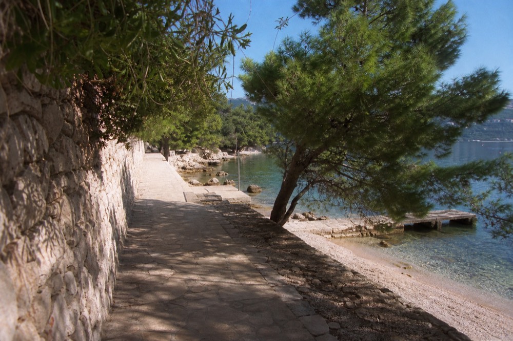 Shallow clear water at a pebble beach with pine shade and a small jetty
