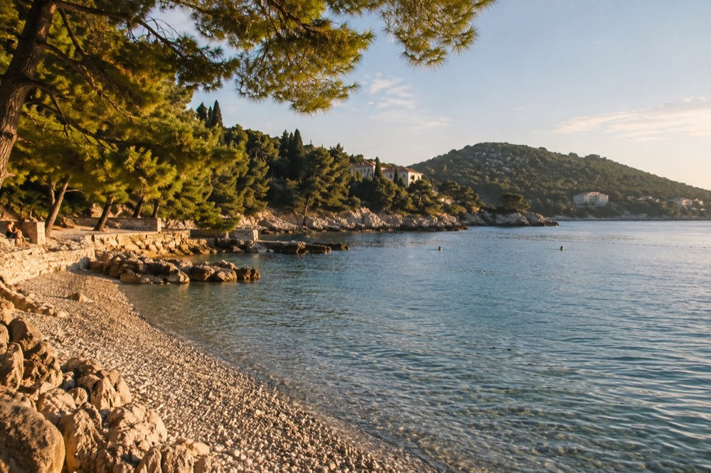 Pine-shaded bay with calm water and a stone beach in Lapad