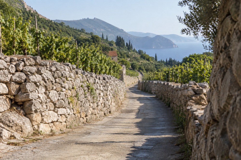 A quiet valley road between dry stone walls and vineyards