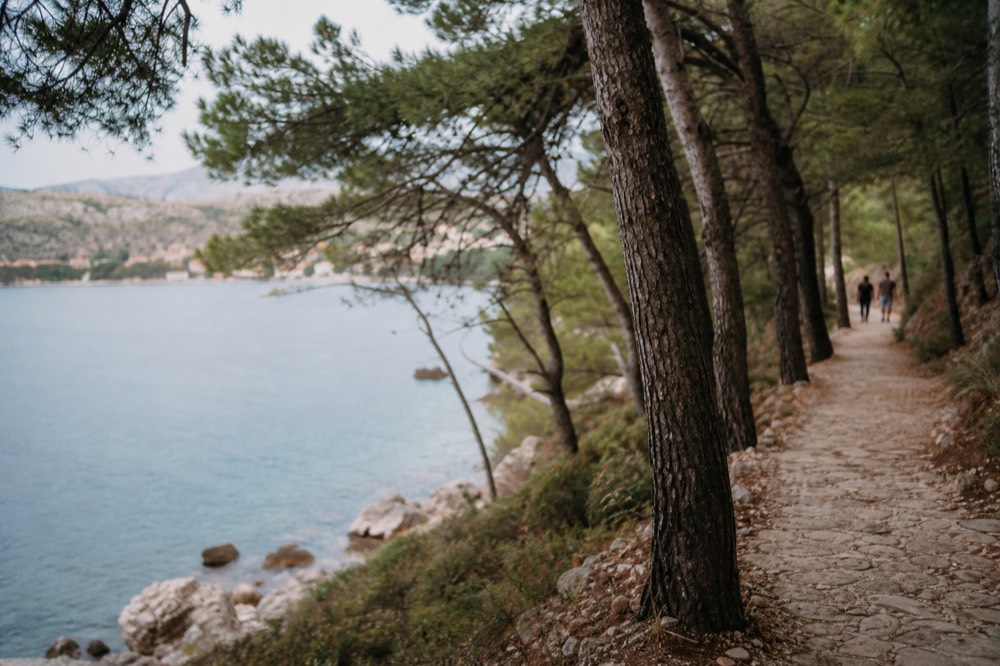 Stone path winding through pine trees above a calm blue bay