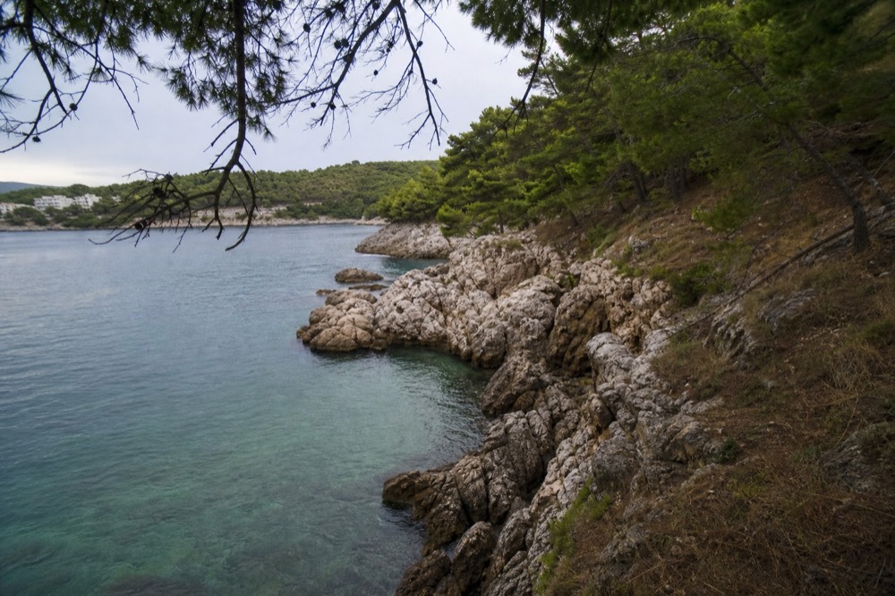 A quiet rocky cove with clear water and pine trees, with no people on the rocks