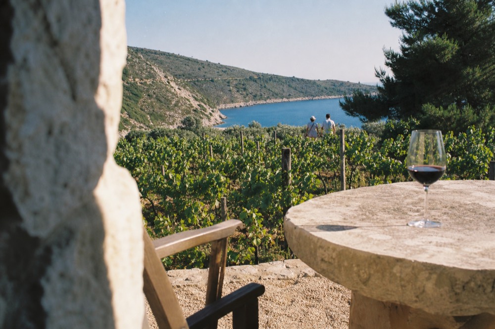 A glass of dark red wine on a stone table overlooking a vineyard
