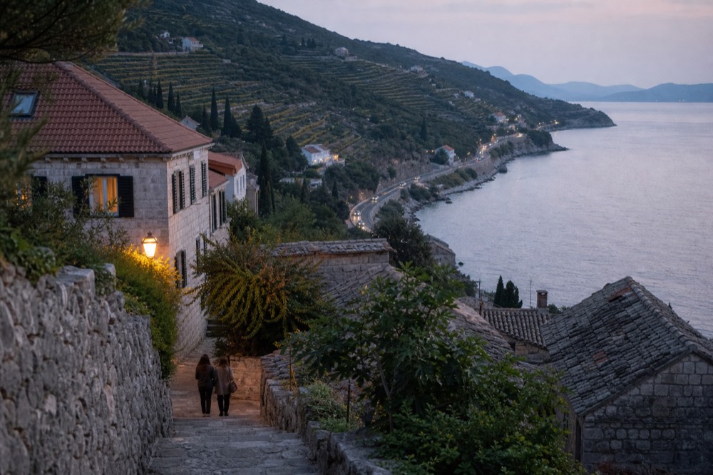 A coastal road curving along a peninsula with vineyards on the hills above