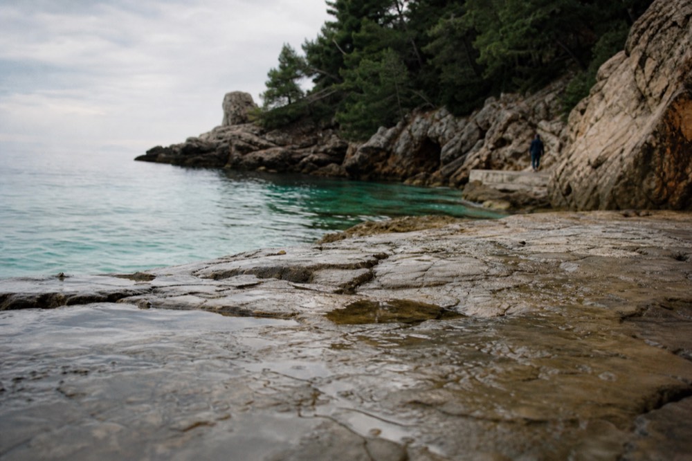 Clear turquoise water along a rocky Adriatic shoreline with pine trees