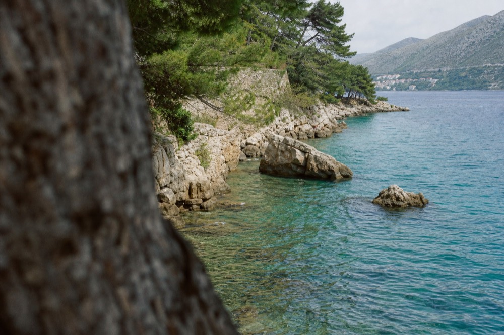 Clear turquoise water lapping a rocky shoreline near Dubrovnik with pine trees