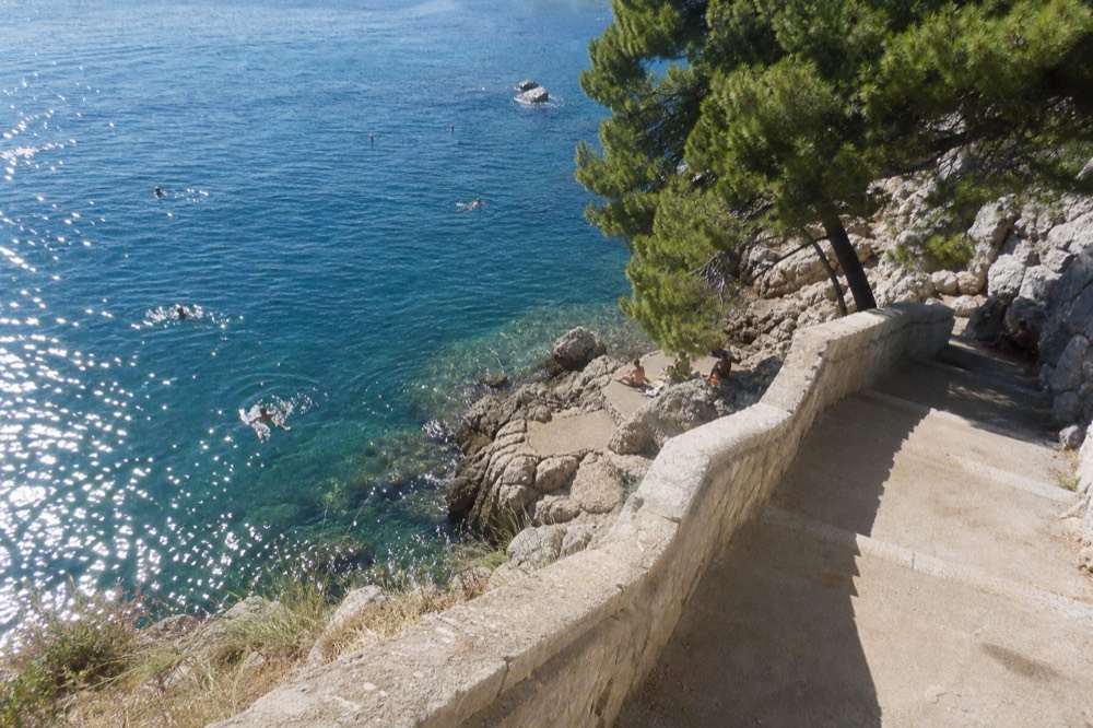 Swimmers in deep blue water beside a rocky shoreline with pine trees