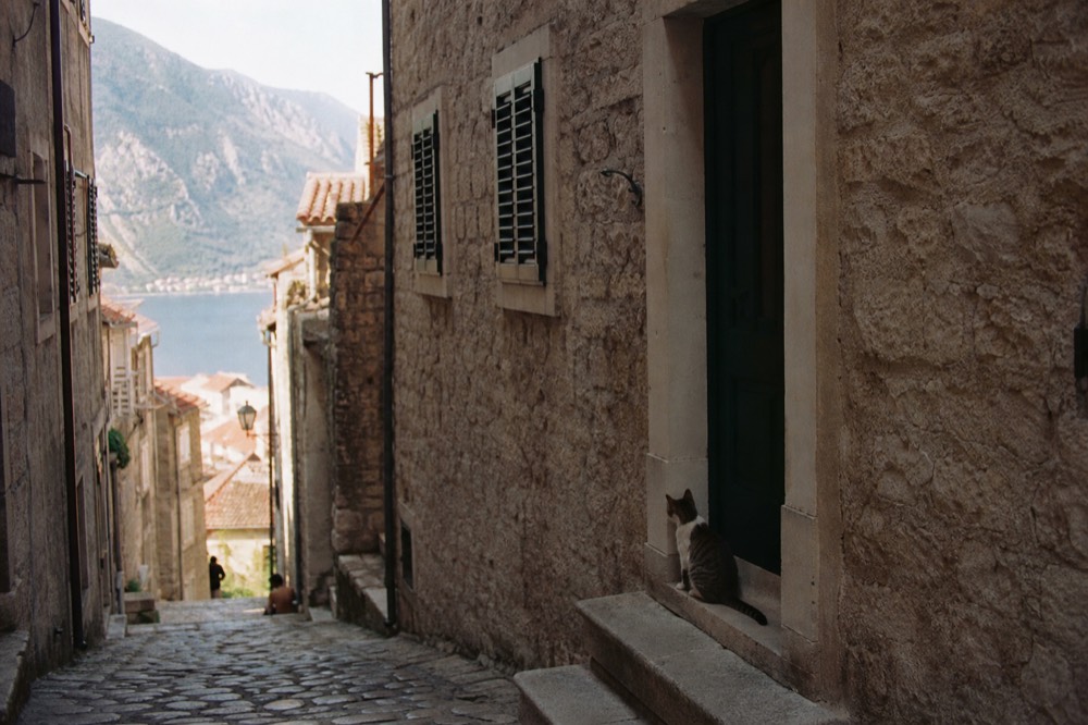 Narrow stone street inside Kotor old town with shuttered windows and a cat on the steps