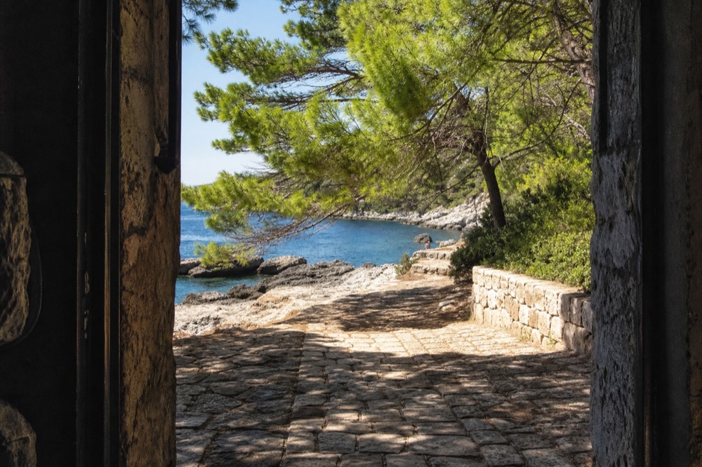 Morning light on Lokrum island pine trees and rocky shoreline