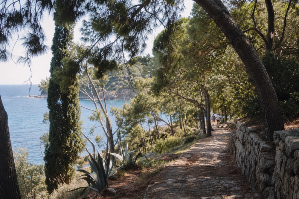 Shaded stone path through pine trees on Lokrum island
