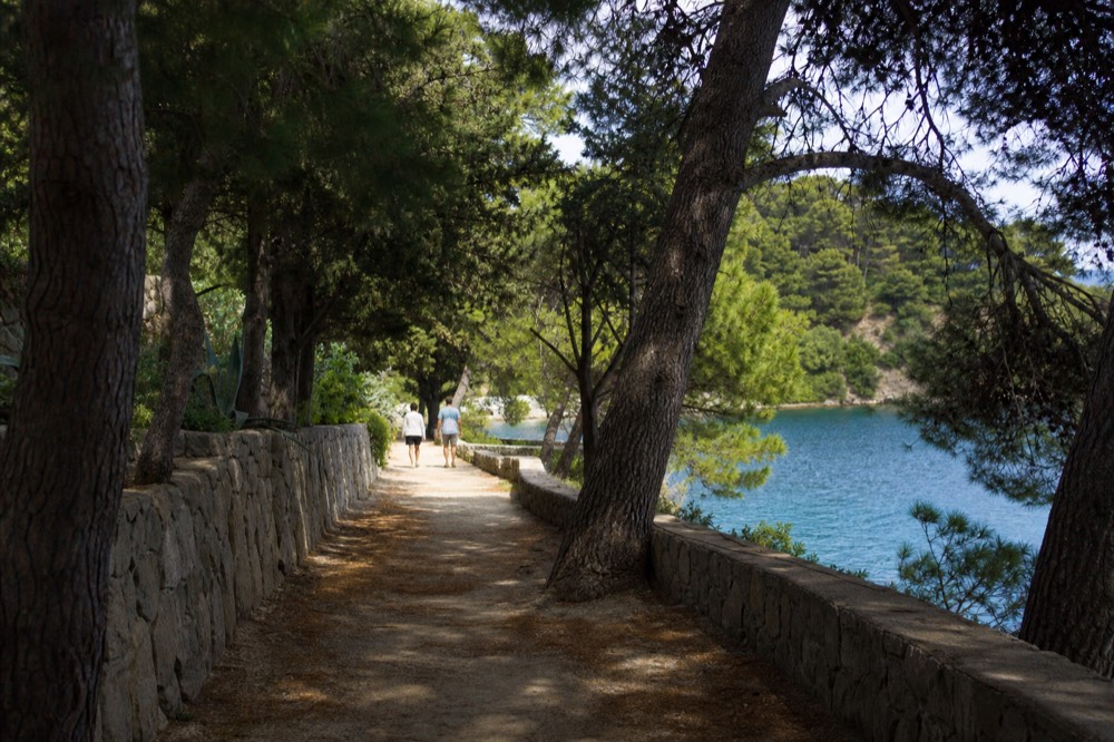 A shaded island path lined with pine trees and stone walls