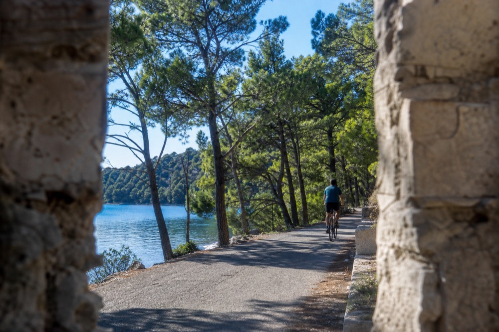 A cyclist on a quiet path between tall pine trees beside still lake water