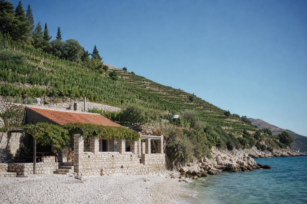 Steep terraced vineyards on a hillside above the blue Adriatic