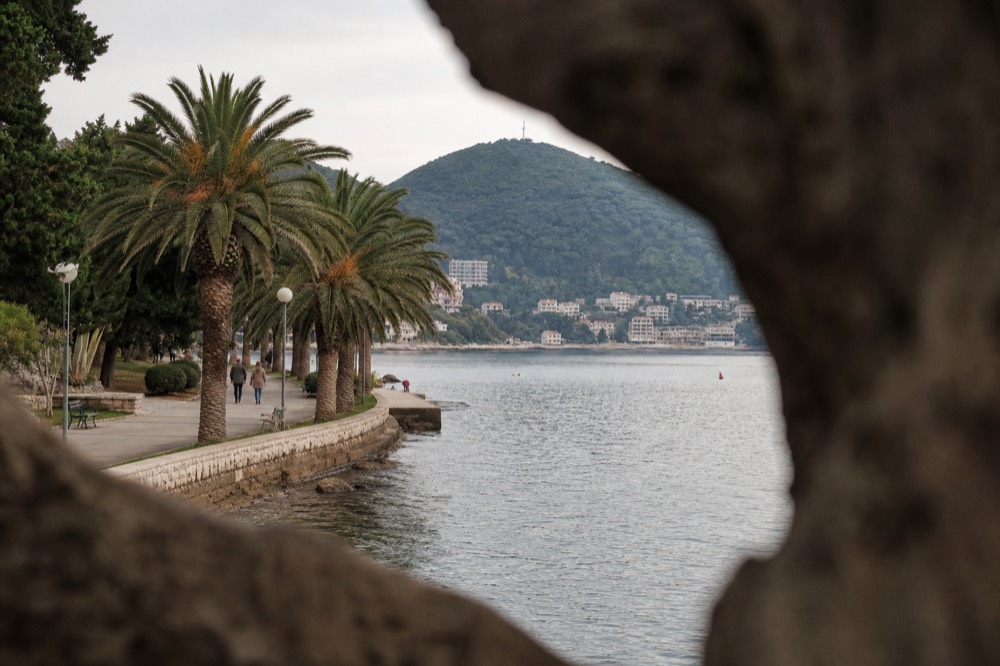 A seaside promenade with palm trees along Lapad Bay in Dubrovnik