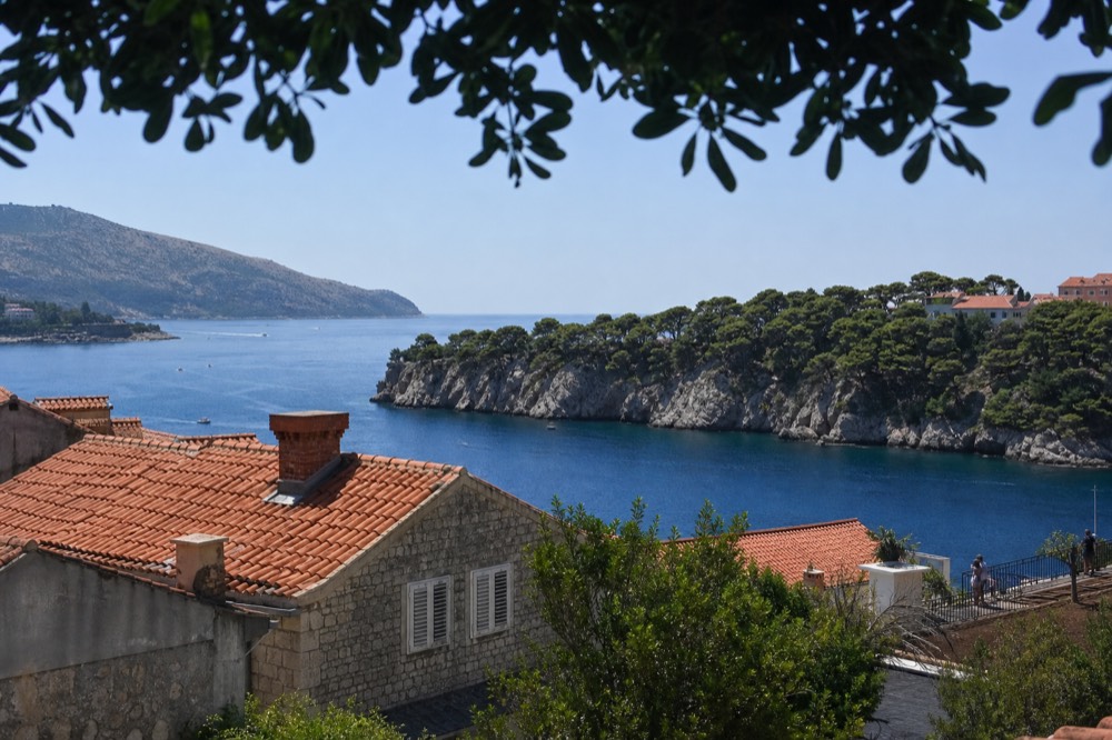 Rocky coastline with calm water and pine trees along a peninsula