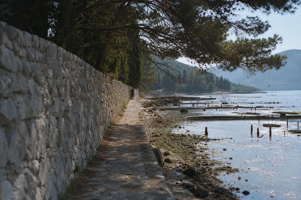 Oyster beds and wooden stakes in a sheltered bay at low tide