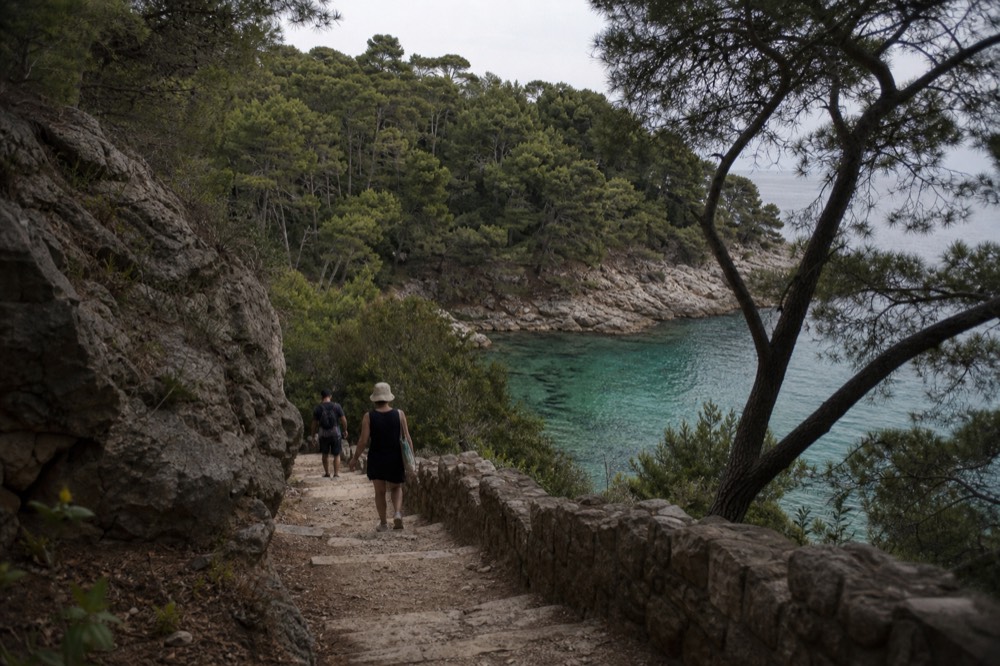 A wooded Lokrum island cove with clear green water and pine trees reaching the shoreline