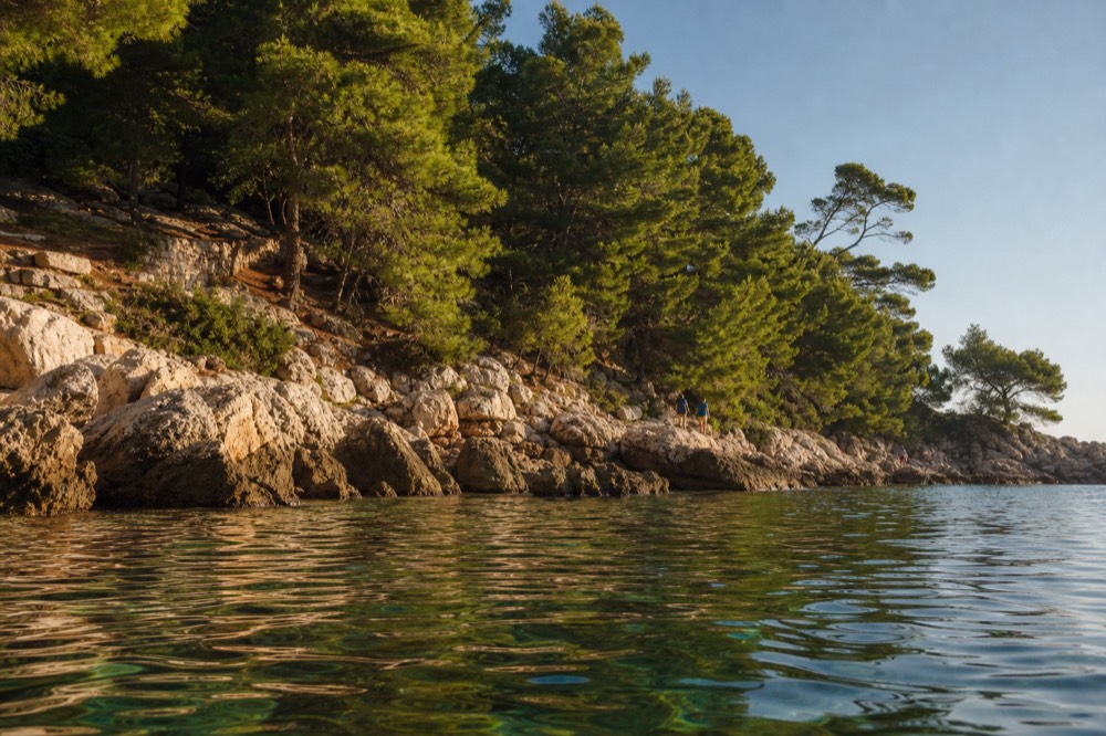 Rocky shoreline and pine trees on Lokrum island with clear green water
